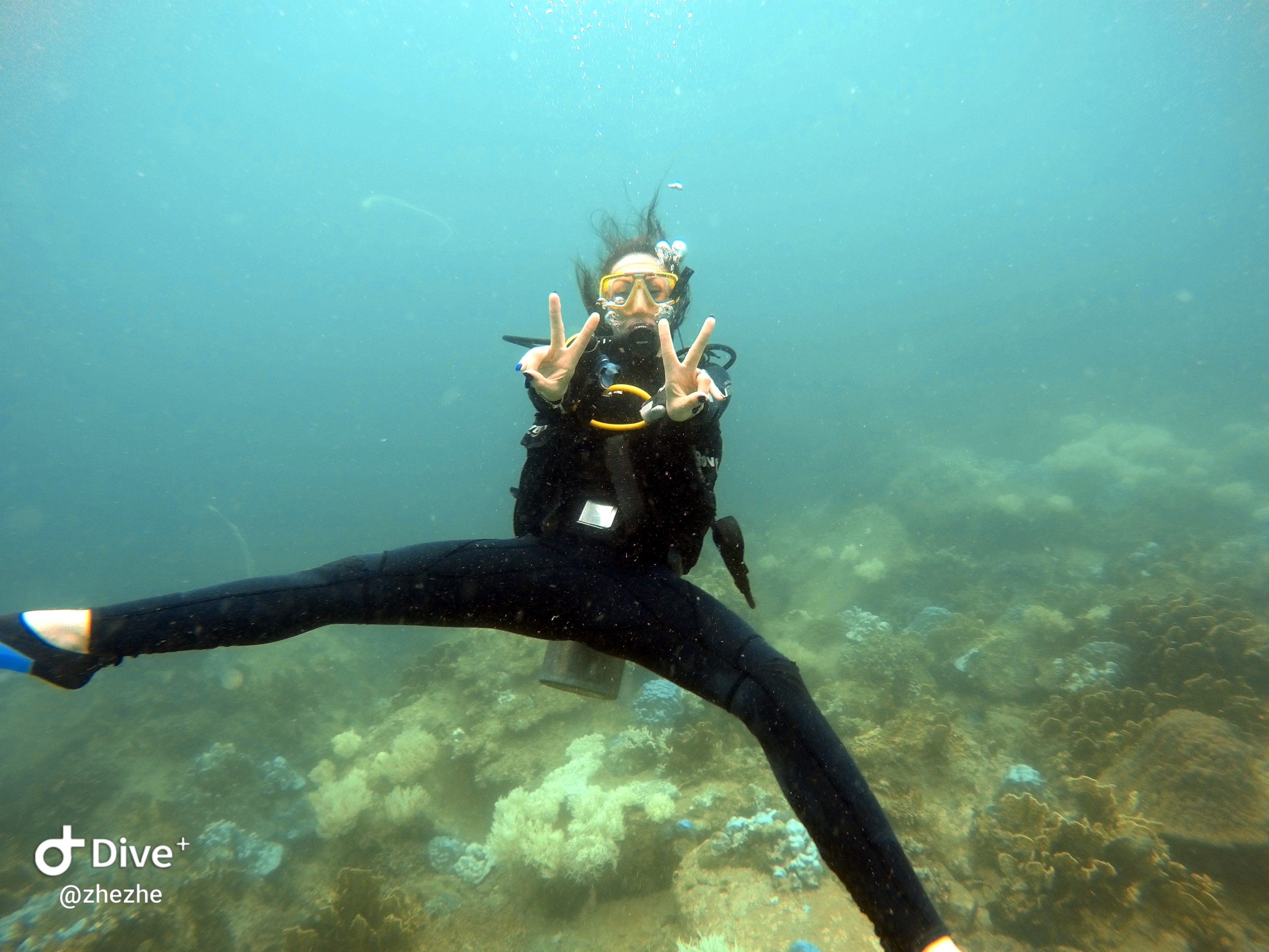 PADI Vietnam Active Diving center