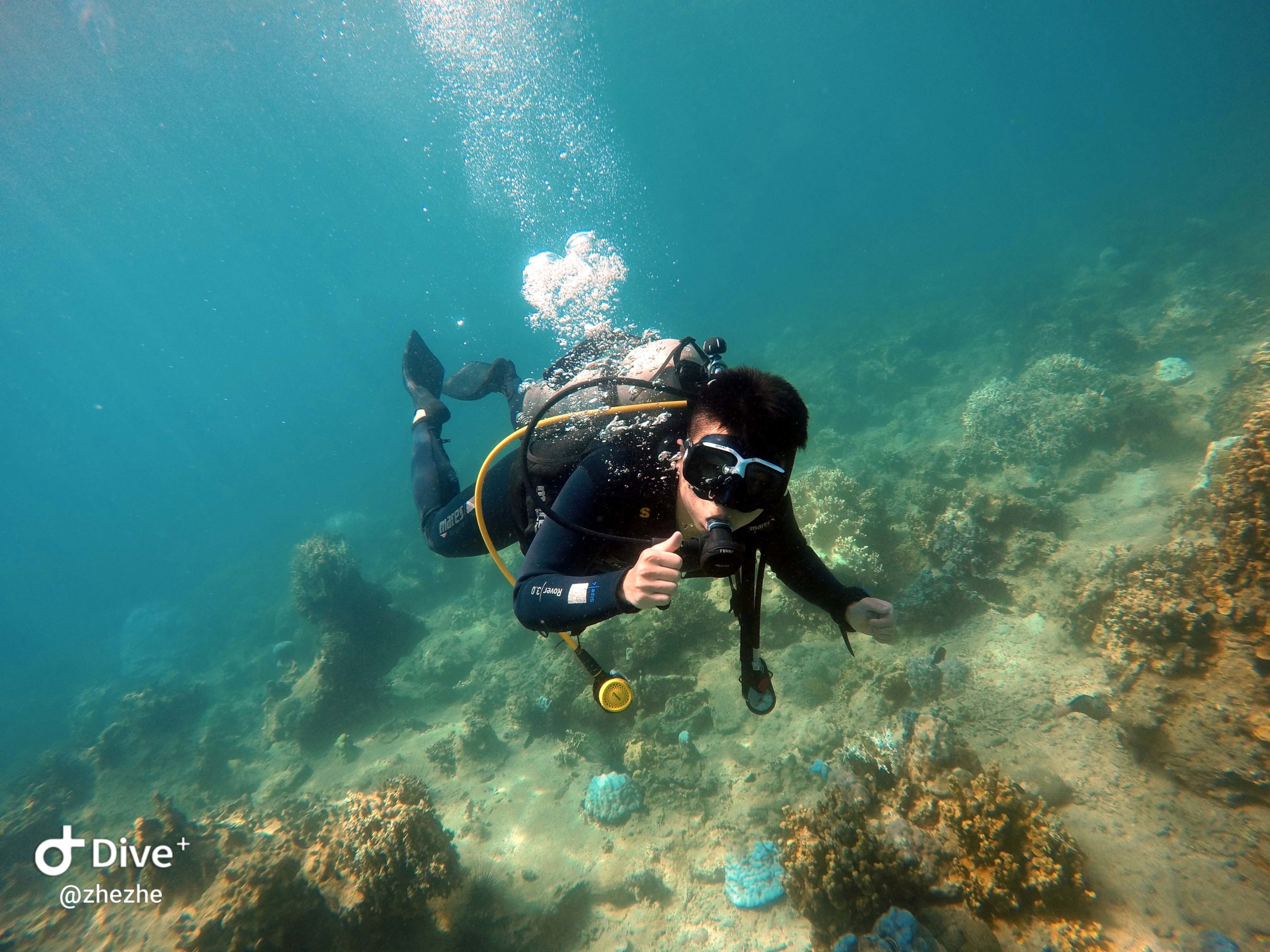 PADI Vietnam Active Diving center