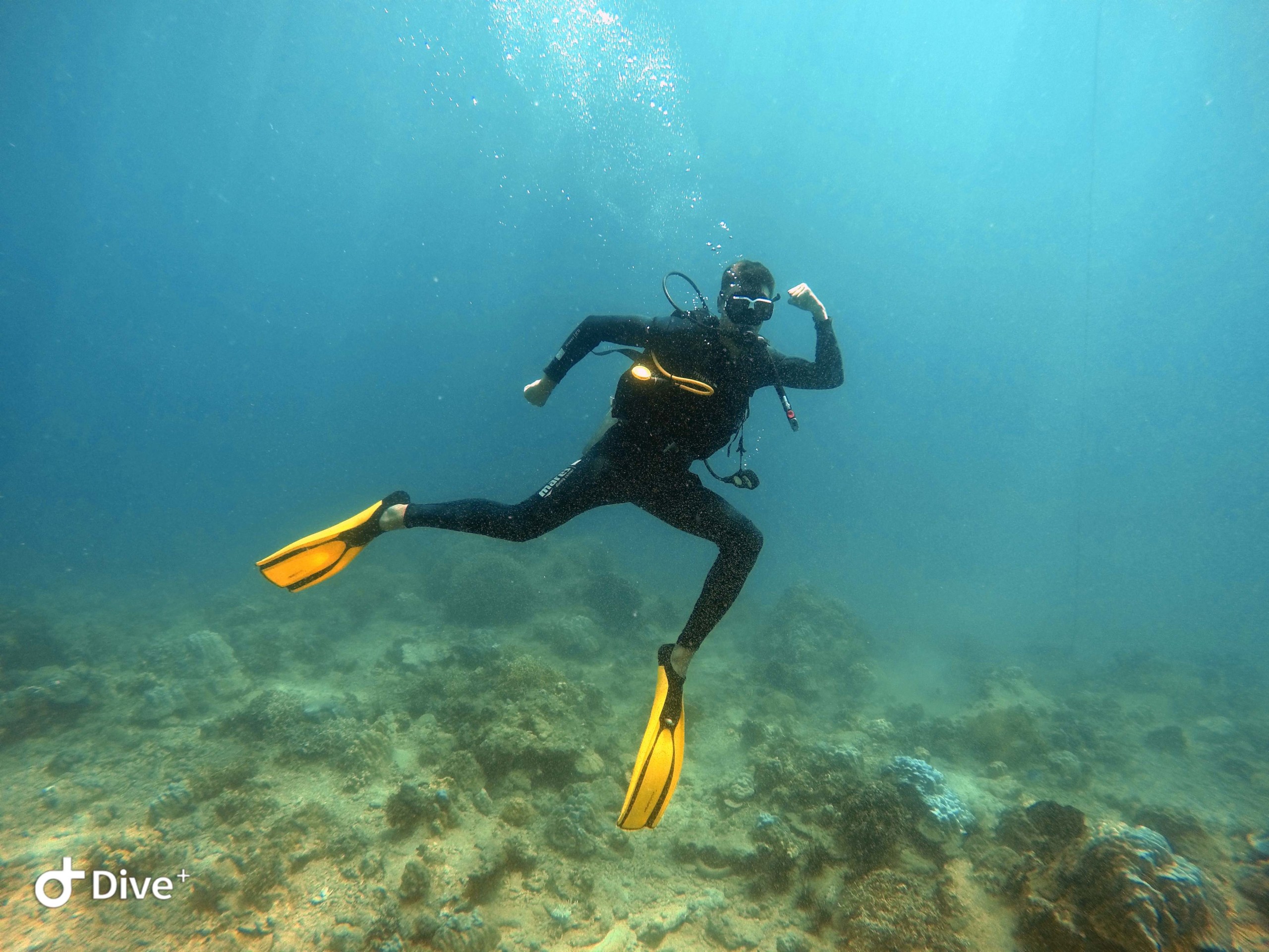 PADI Vietnam Active Diving center