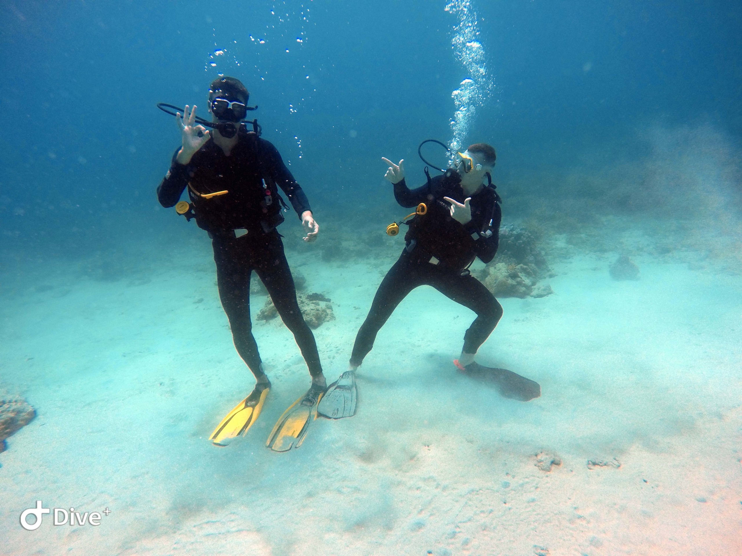 PADI Vietnam Active Diving center