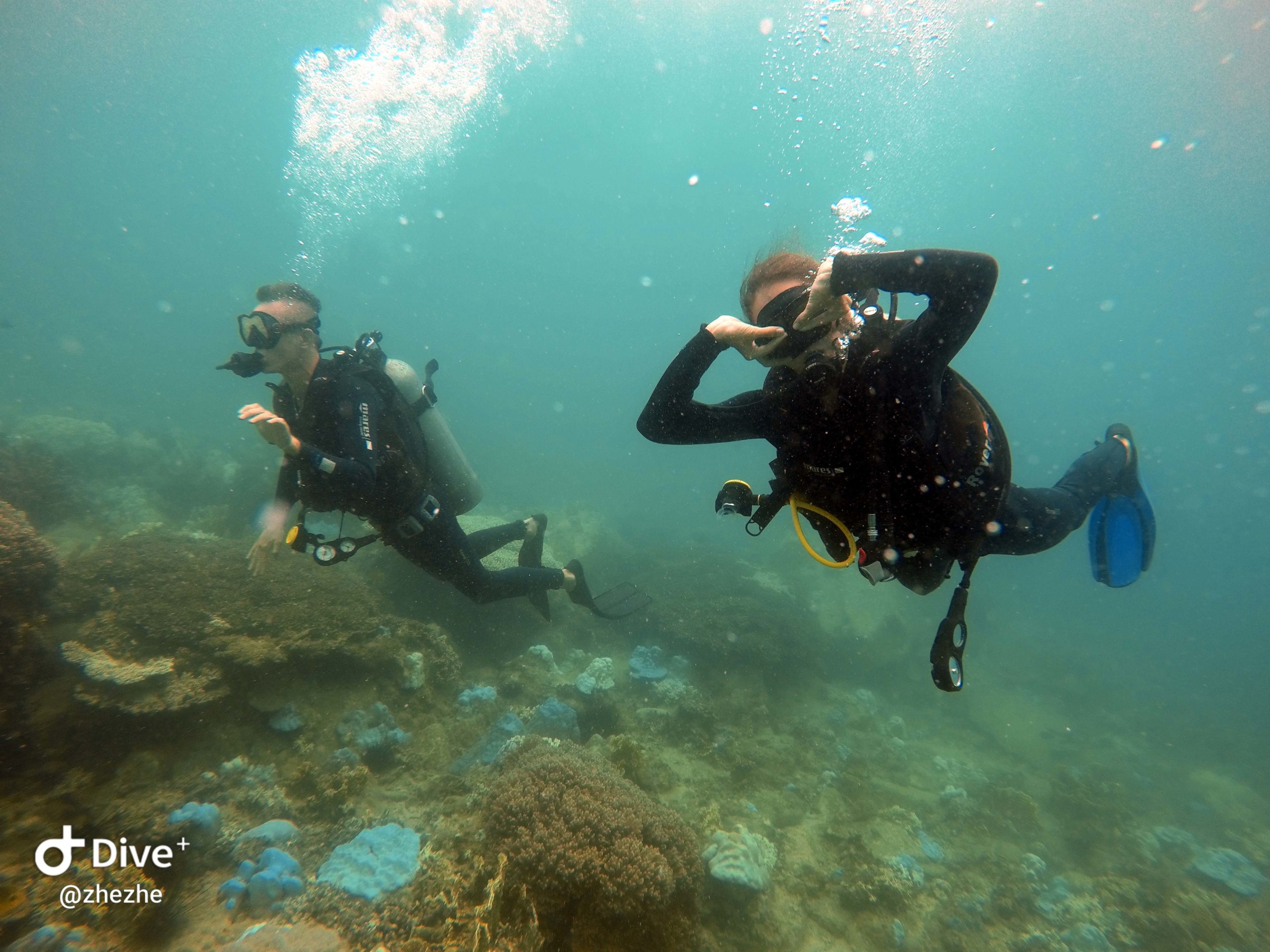 PADI Vietnam Active Diving center