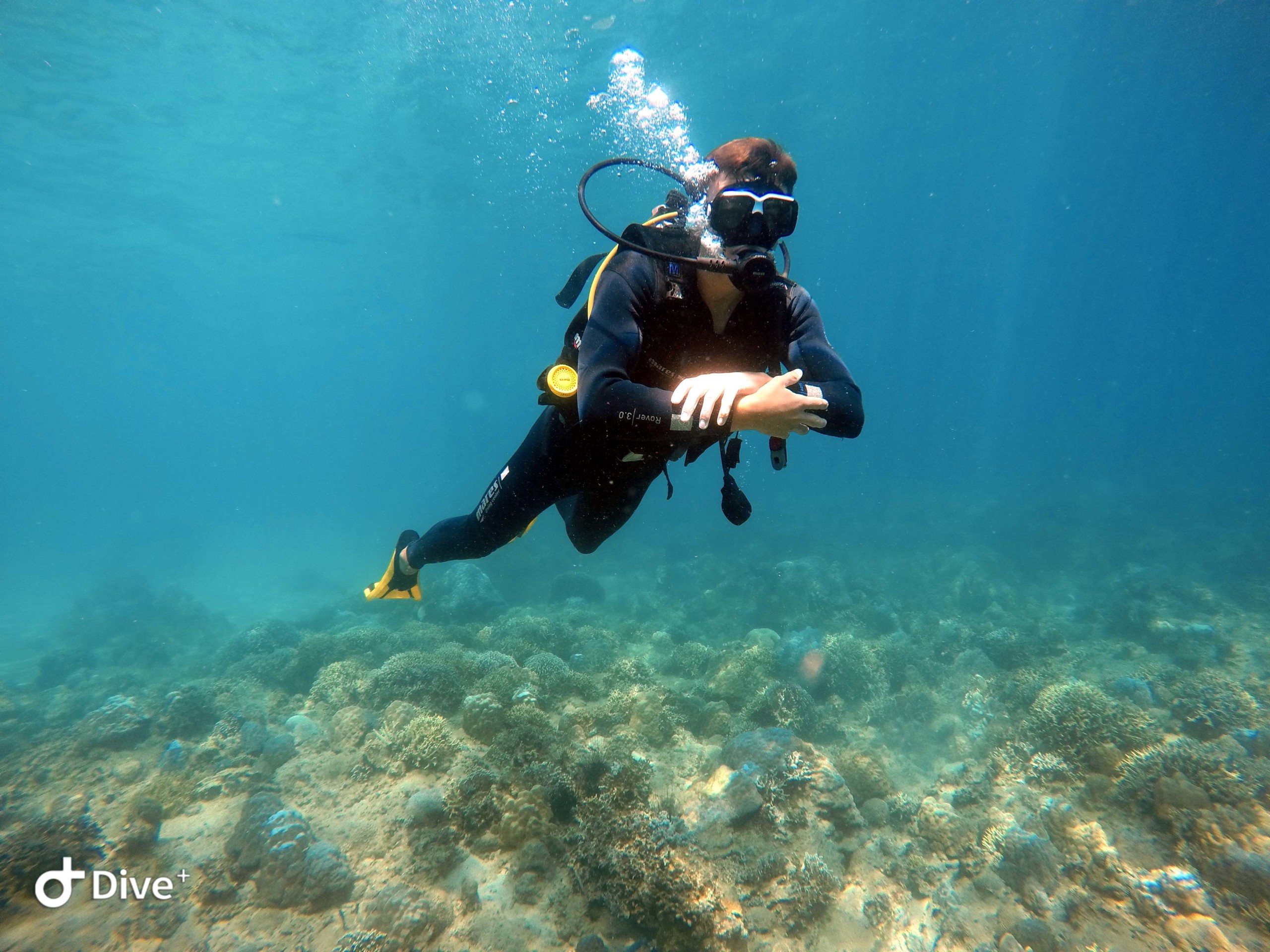 PADI Vietnam Active Diving center