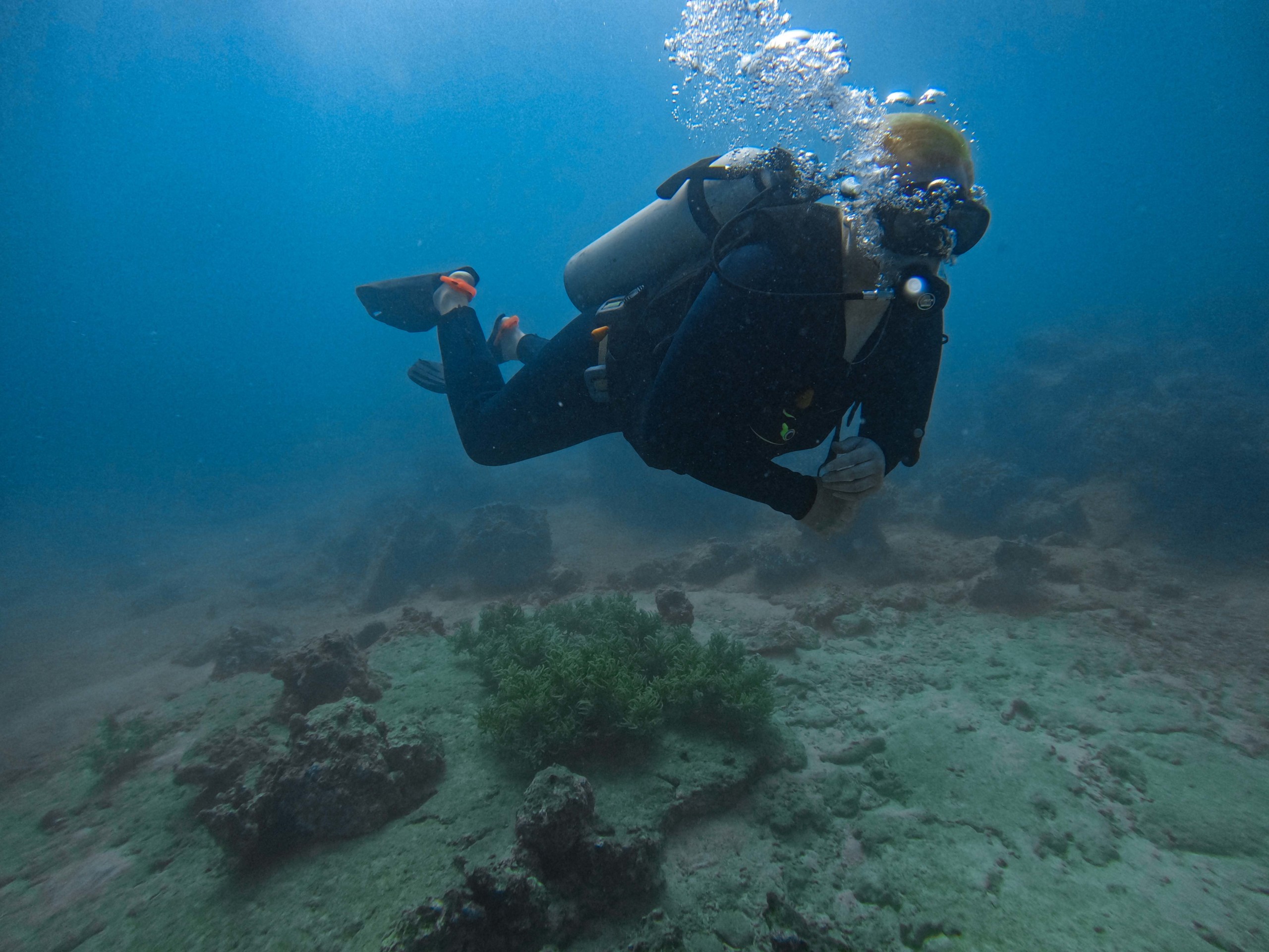 PADI Vietnam Active Diving center