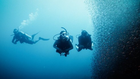 Deep Diver Specialty ( 2 Days )
