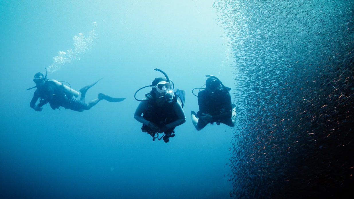 Deep Diver Specialty ( 2 Days )
