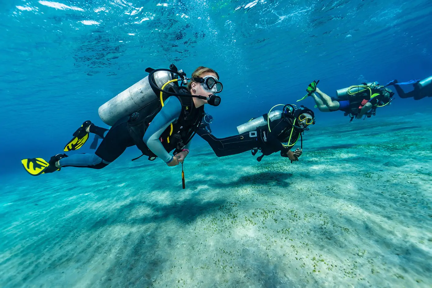 PADI Divemaster Course or Internship