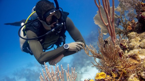 Peak Performance Buoyancy Specialty ( 1 Day )