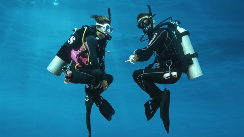 Peak Performance Buoyancy Specialty ( 1 Day )