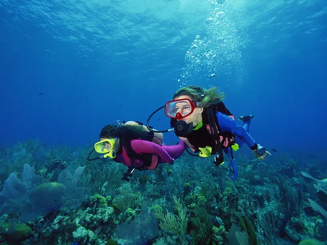 Peak Performance Buoyancy Specialty ( 1 Day )