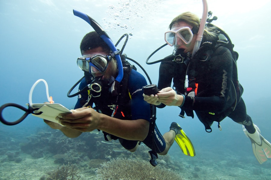 Underwater Navigation Specialty