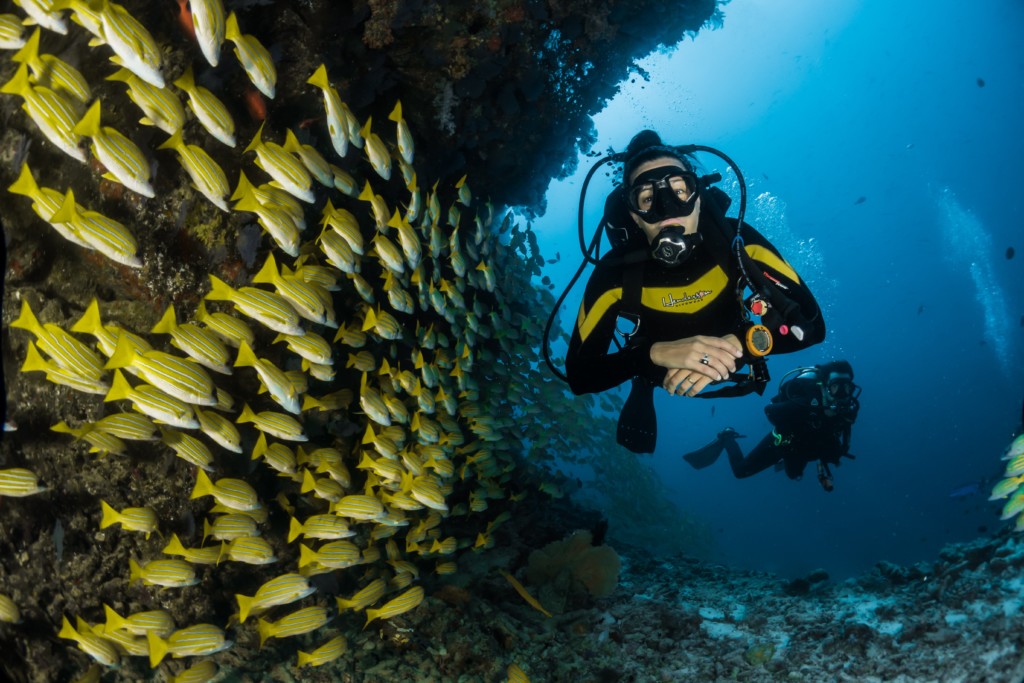 PADI Vietnam Active Diving center